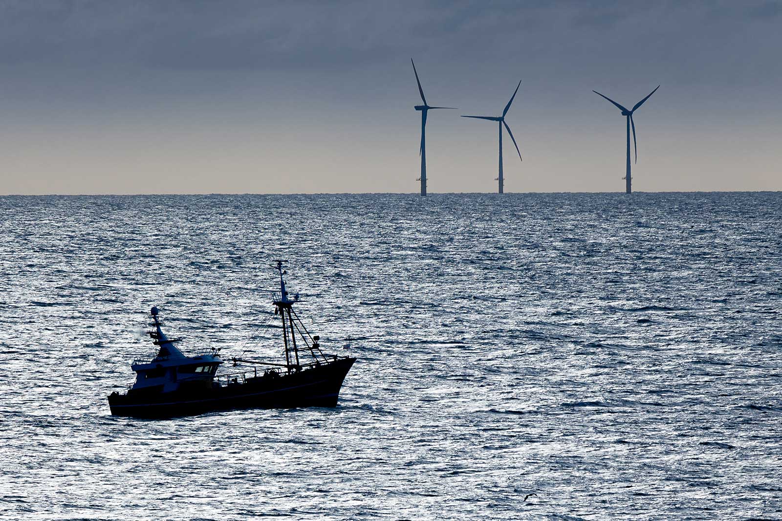 Ein Fischerboot auf dem Wasser mit Windkraftanlagen im Hintergrund vor einem bewölkten Himmel.