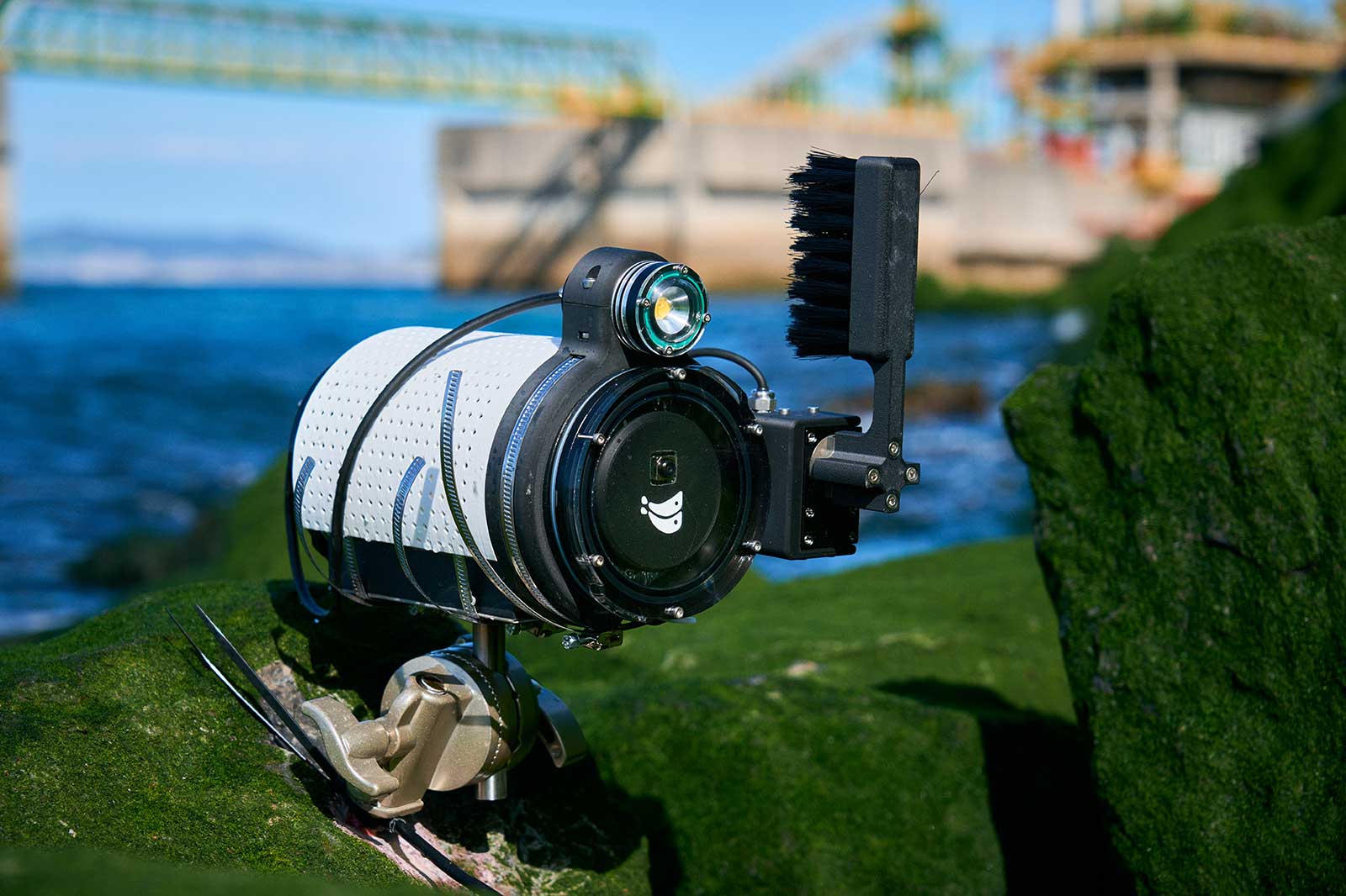 Eine Kamera auf einem Felsen am Ufer, mit einem LED-Licht und einer Bürste, umgeben von Wasser und grünem Algenbewuchs.