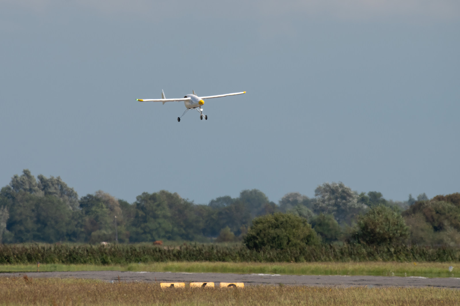 A small aircraft is landing on a runway, surrounded by trees and a clear sky.
