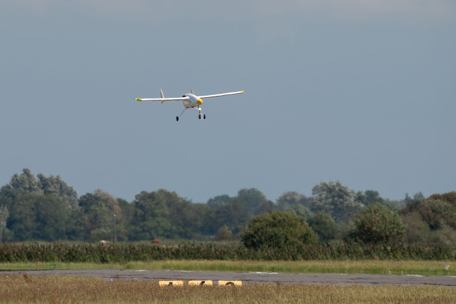 A small white aeroplane with yellow tips is landing on a runway with trees in the background.